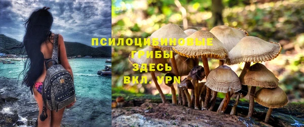 PSILOCYBIN Покачи